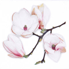 White Magnolia Lunch Napkins